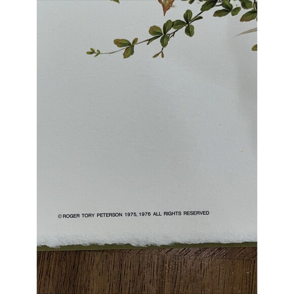 Roger Tory Peterson Art Quail Family Lithograph Print USA 1975 14x11 - Picture 7 of 7